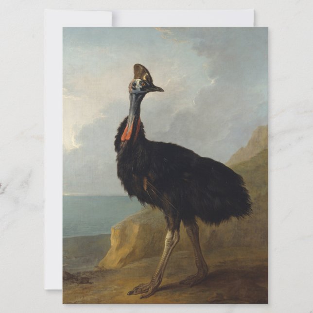 Carte Cassowary (Oiseau australien) (Art animal sauvage) (Devant)