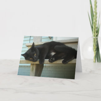 Carte Cat