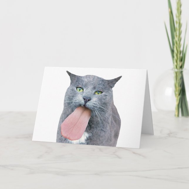 Carte Cat A Te Langue ? (Devant)