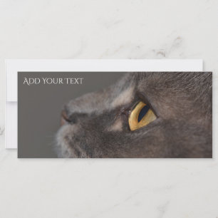 Carte Cat Eye-Macro par Shirley Taylor