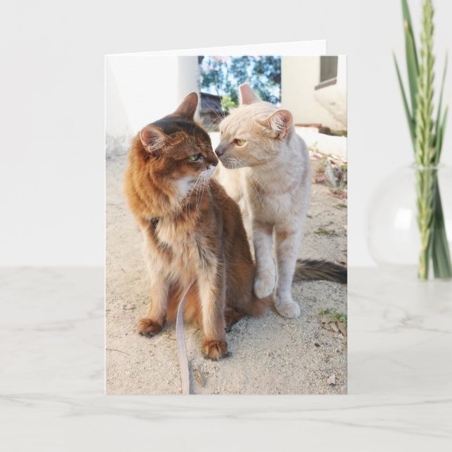 Carte Cat Friends - Cute Cat Lovers Romance  (Devant)