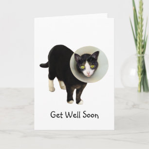 Carte Cat in Cone Get Well Card