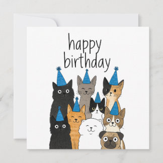 Carte Cat Lover Cards - Cat Party Birthday Card
