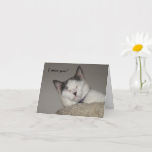 Carte Cat Nap-Missing You