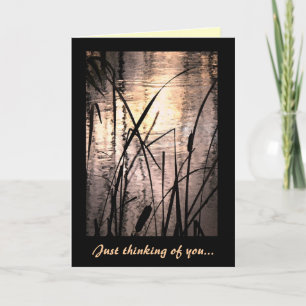 Carte Cattails au coucher du soleil Penser à vous