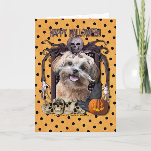Carte Cauchemar de Halloween - ShihPoo - Maggie (Devant)