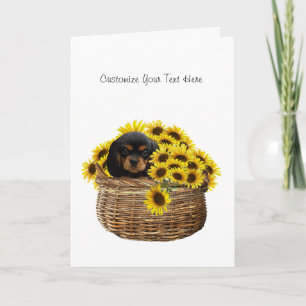 Carte Cavalier King Charles Spaniel