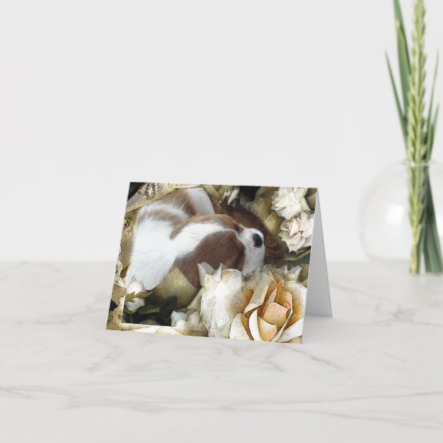Carte Cavalier King Charles Spaniel (Devant)