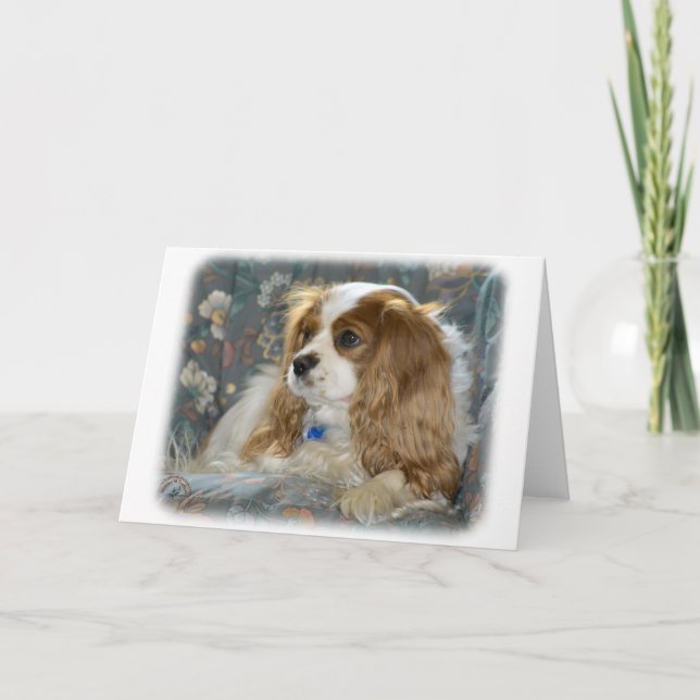 Carte Cavalier King Charles Spaniel 8R16D-01 (Devant)