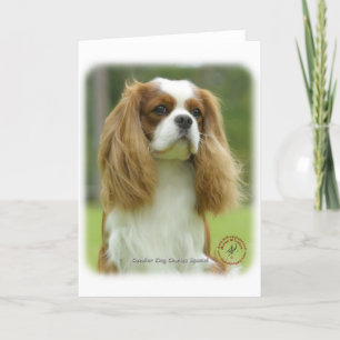 Carte Cavalier King Charles Spaniel 9F097D-08
