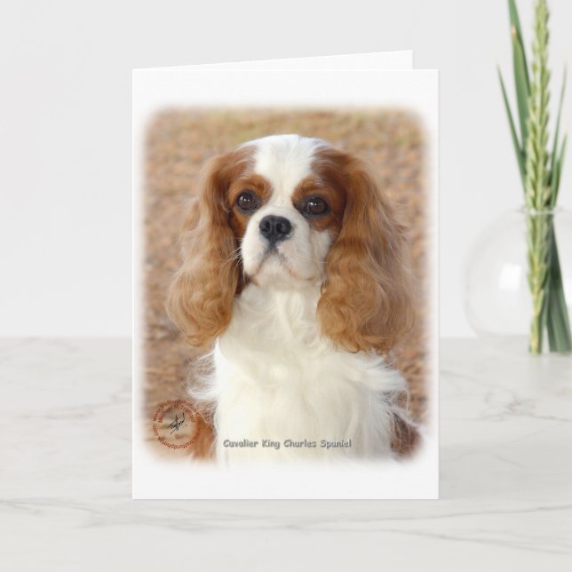 Carte Cavalier King Charles Spaniel 9L005D-08 (Devant)