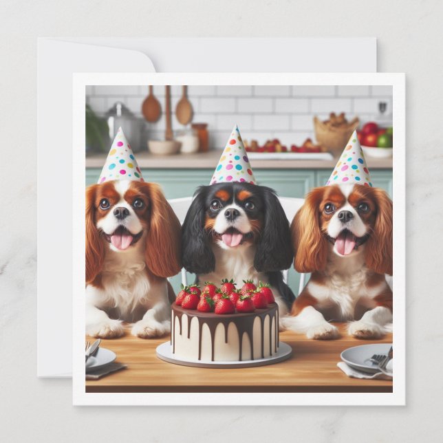 Carte Cavalier King Charles Spaniel, Cavalier (Devant)