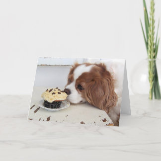 Carte Cavalier King Charles Spaniel Cupcake du vendredi