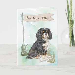 Carte Cavalier King Charles Spaniel Meilleur rétablissem