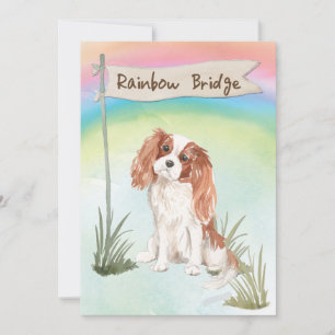 Carte Cavalier King Charles Spaniel Pet Sympathie