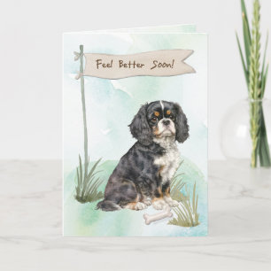 Carte Cavalier King Charles Spaniel Se Sentir Mieux Chir