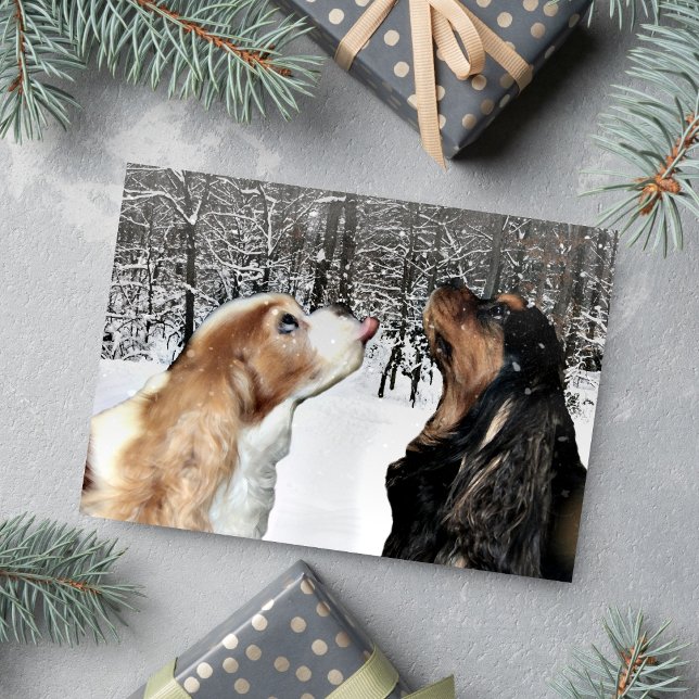 Carte Cavalier King Charles Spaniel sous la neige (Catching snowflakes Cavaliers for a Christmas greeting. )