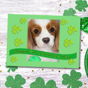 Carte Cavalier King Charles Spaniels St. Patrick's Day