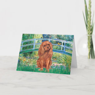 Carte Cavavlier (Ruby7) - Pont