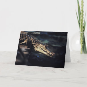 Carte Cayman crocodile notecard