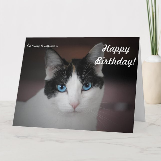 Carte Ce Chat vous souhaite un joyeux anniversaire ! Car (Devant)