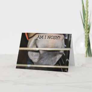 CARTE CE CHEVAL EST "PAS NOSY" JEUX ANNIVERSAIRE POUR VO