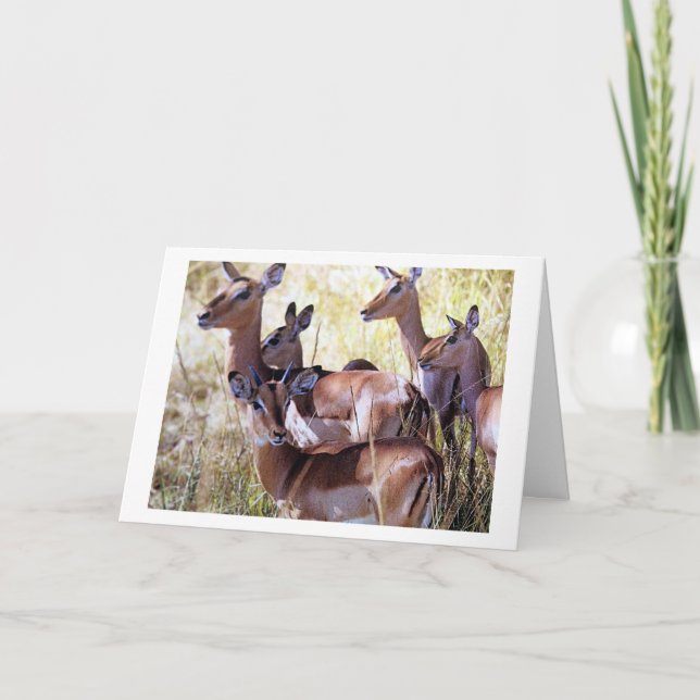 CARTE CE GROUPE DE DEER VOUS ENVOYE DES DÉSIRS D'ANNIVER (Devant)