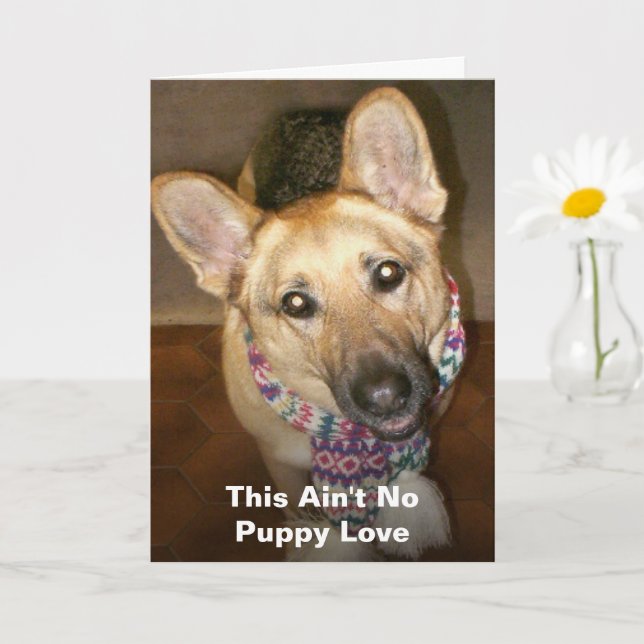 Carte Ce n'est pas pas un amour chiot, un joyeux anniver (Petite plante)