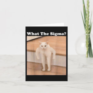 Carte Ce Sigma Mème Chat Mème Internet Mèmes Drôle Mème