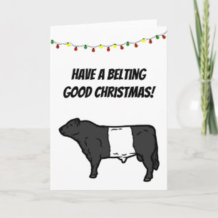 Carte Ceinture Bon Noël Ceinturé Galloway Beltie Cow 