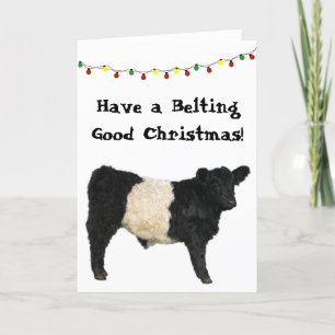 Carte Ceinture Bon Noël Ceinturé Galloway Beltie Cow