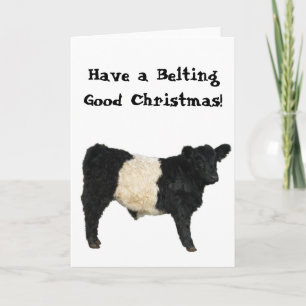 Carte Ceinture de Noël Belted Galloway Beltie Vache