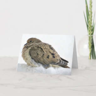 Carte Célébrez le Christ avec Noël Paix & Bénédictions