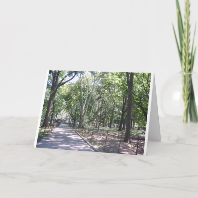 Carte Central Park (Devant)