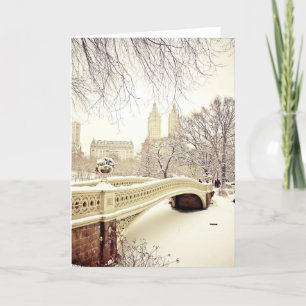 Carte Central Park Snow