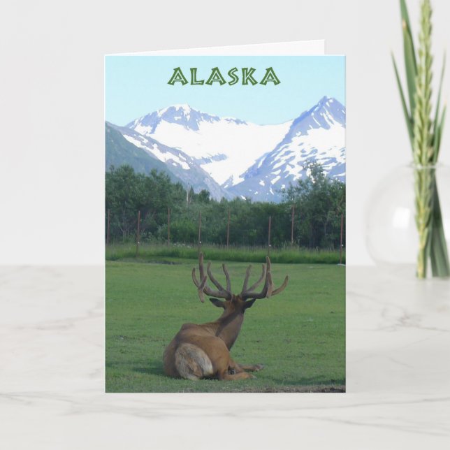 Carte Centre de conservation de la faune de l'Alaska - c (Devant)