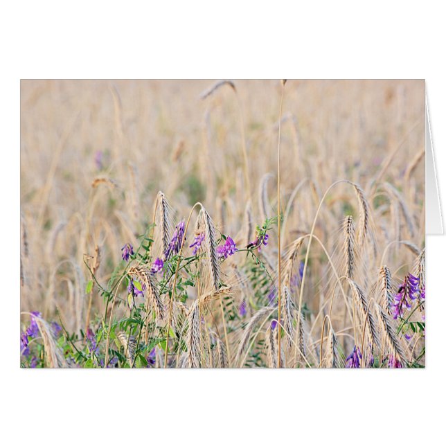 Carte céréalière en croissance (Devant horizontal)