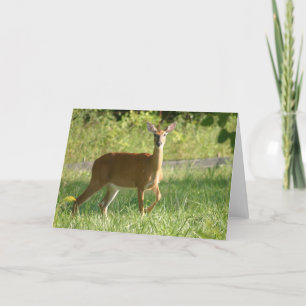 Carte Cerf