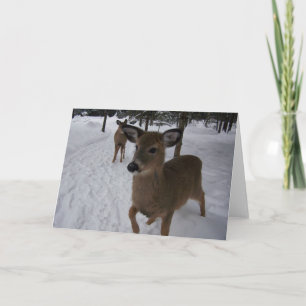 Carte cerf amical