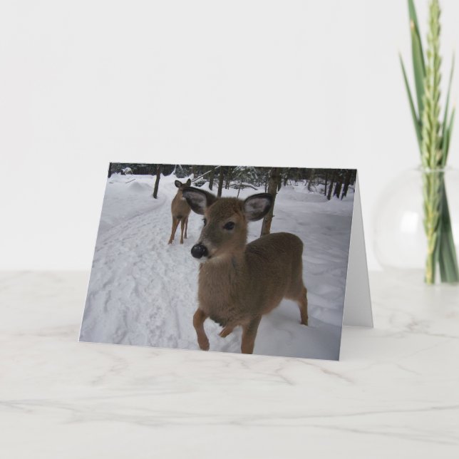 Carte cerf amical (Devant)