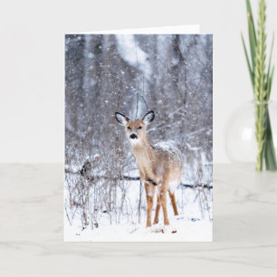 Carte Cerf dans la neige