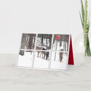 Carte cerf dans la neige et maison d'oiseaux rouge dans 