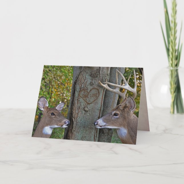 Carte cerf dans les bois avec coeur d'amour véritable (Devant)