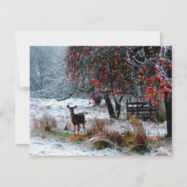 Carte Cerf en hiver (Devant)