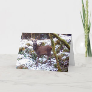 Carte Cerf majestueux au milieu d'un bois enneigé, œuvre