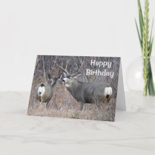 Carte Cerf mulet D29