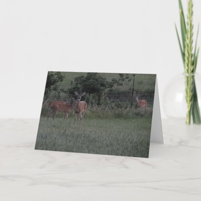 Carte Cerf Sur Le Terrain (Devant)
