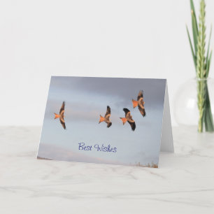 Carte Cerf-volant rouge