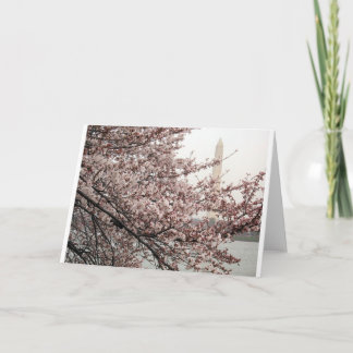Carte Cerisier en fleurs Washington DC