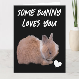 Carte Certain Lapin T'aime